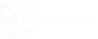 Be Aesthetic – Início